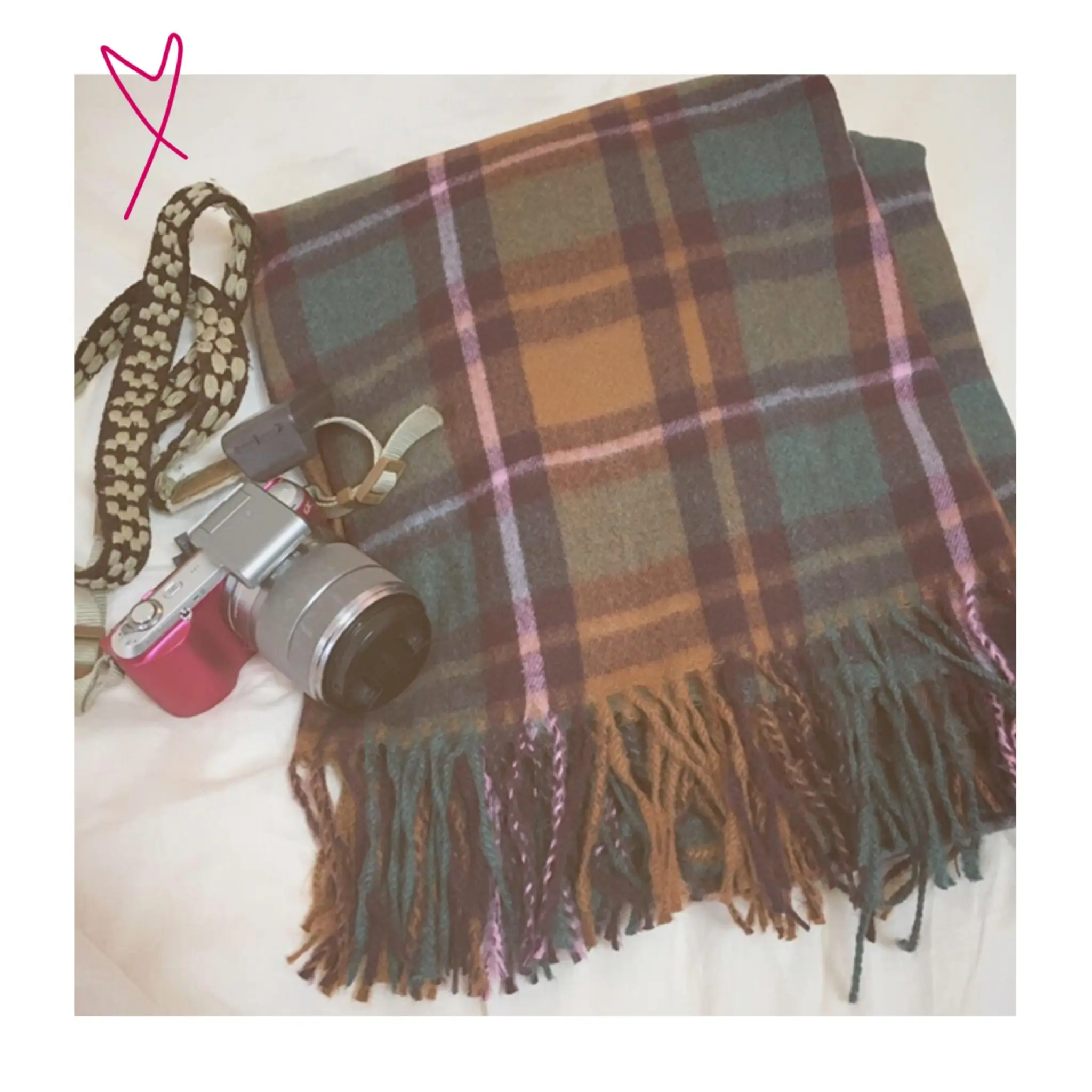 《ザラジョ必見❤️》【ZARA】の冬小物が可愛すぎる!チェック柄ストールをゲット✌︎❤︎_1