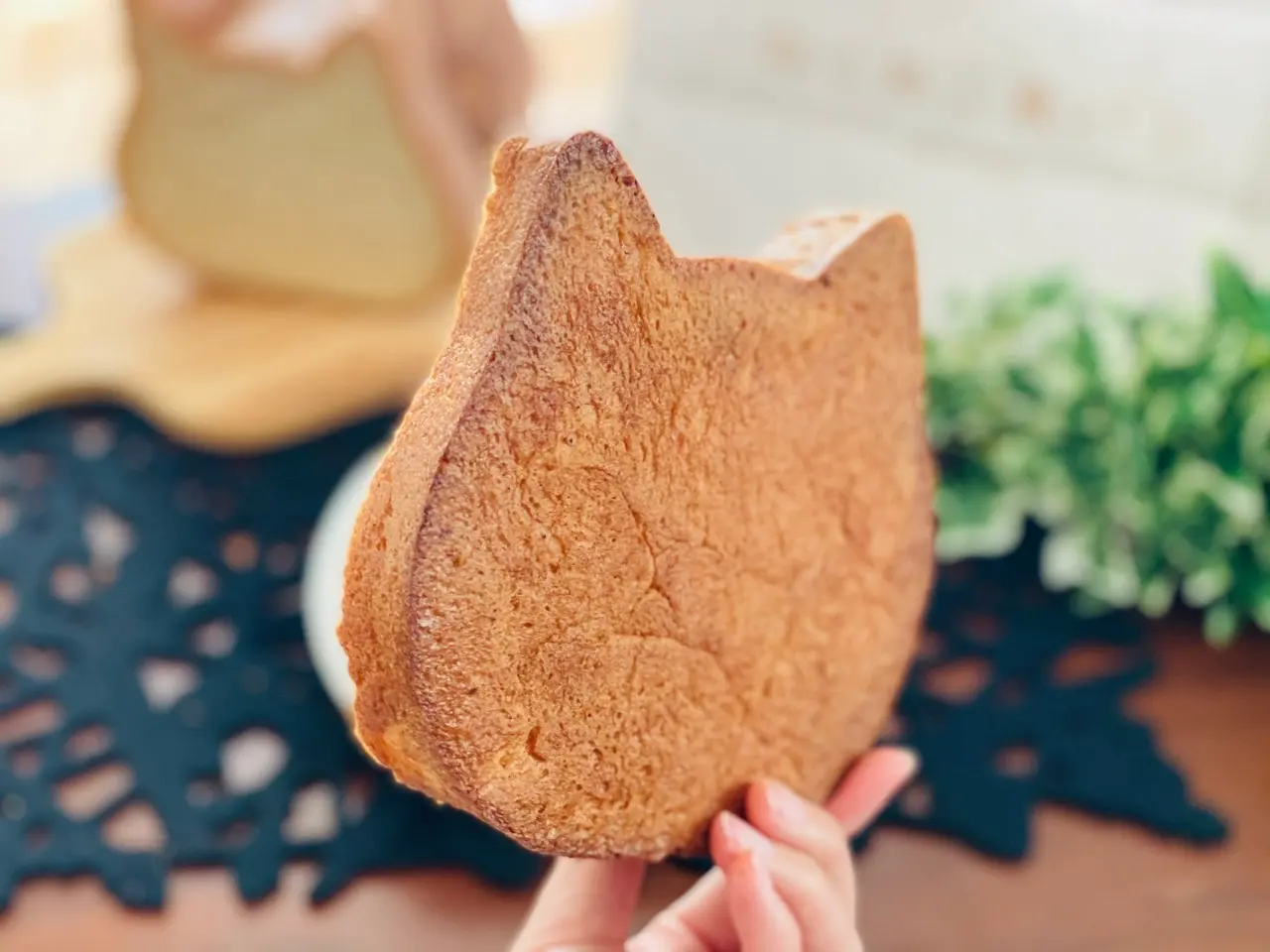 【オンライン販売開始!】可愛さ満点で売切れ続出!念願の《ねこねこ食パン》をGET♡_5