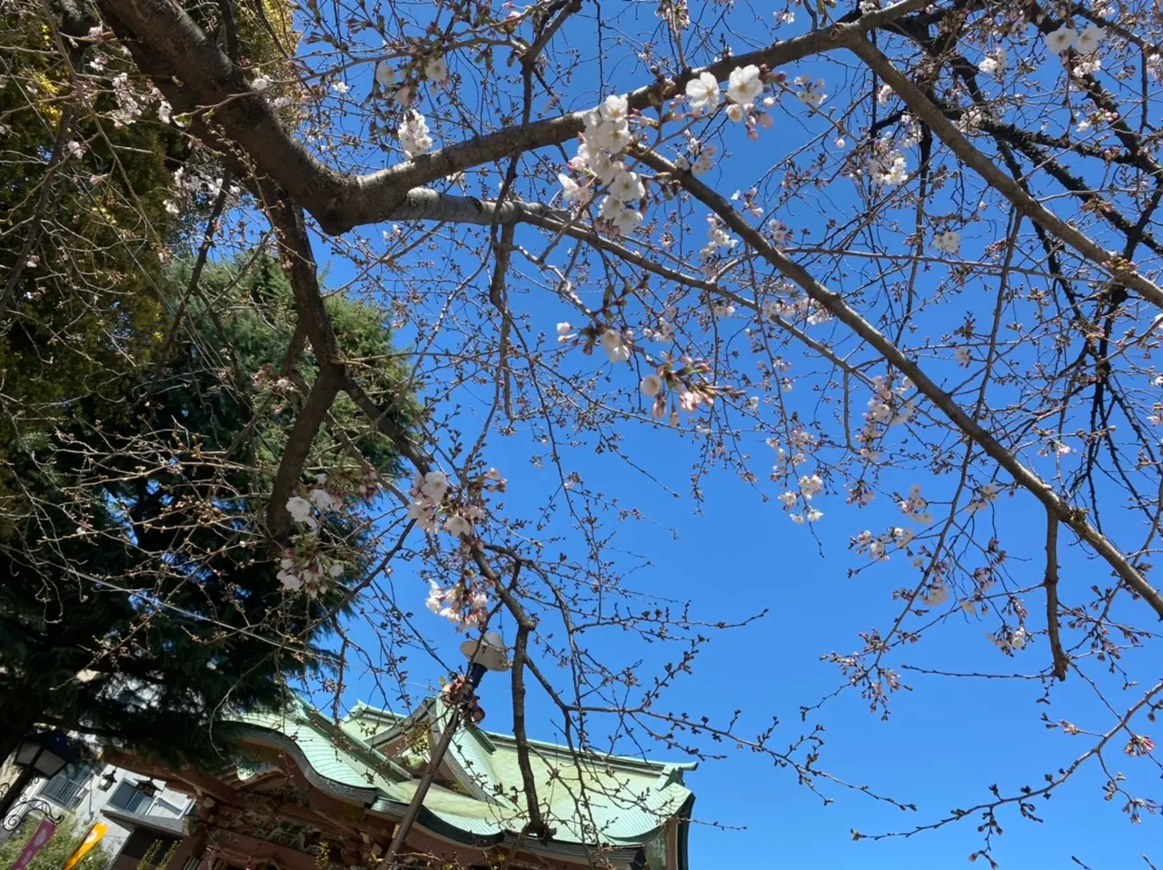 【恋つづ】ドラマ効果で大行列!聖地巡礼の地★恋愛成就の神様《今戸神社》へ♡_10
