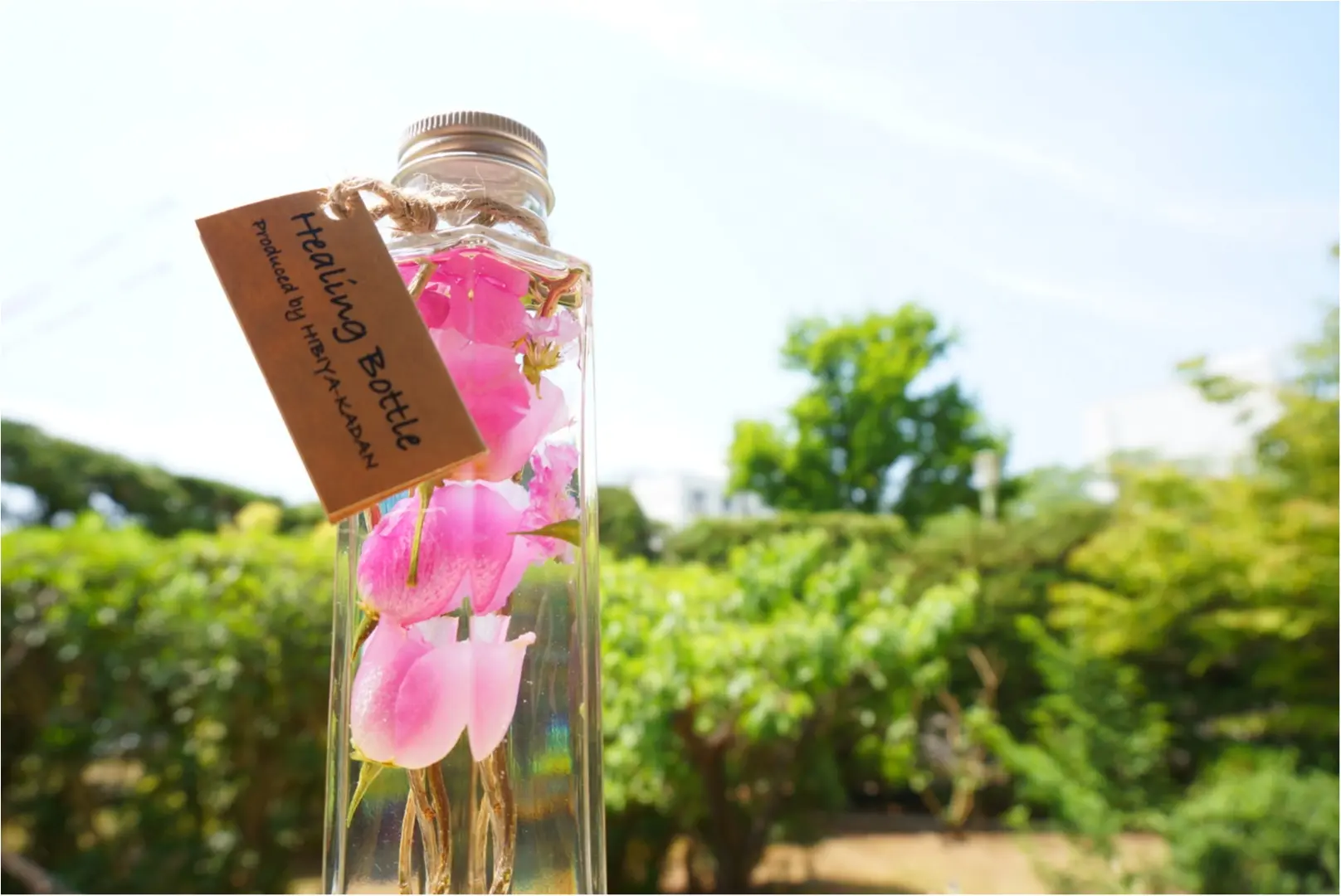 もうすぐ『母の日』‼︎ 日頃の感謝を込めて"お花"を贈ろう♪_1