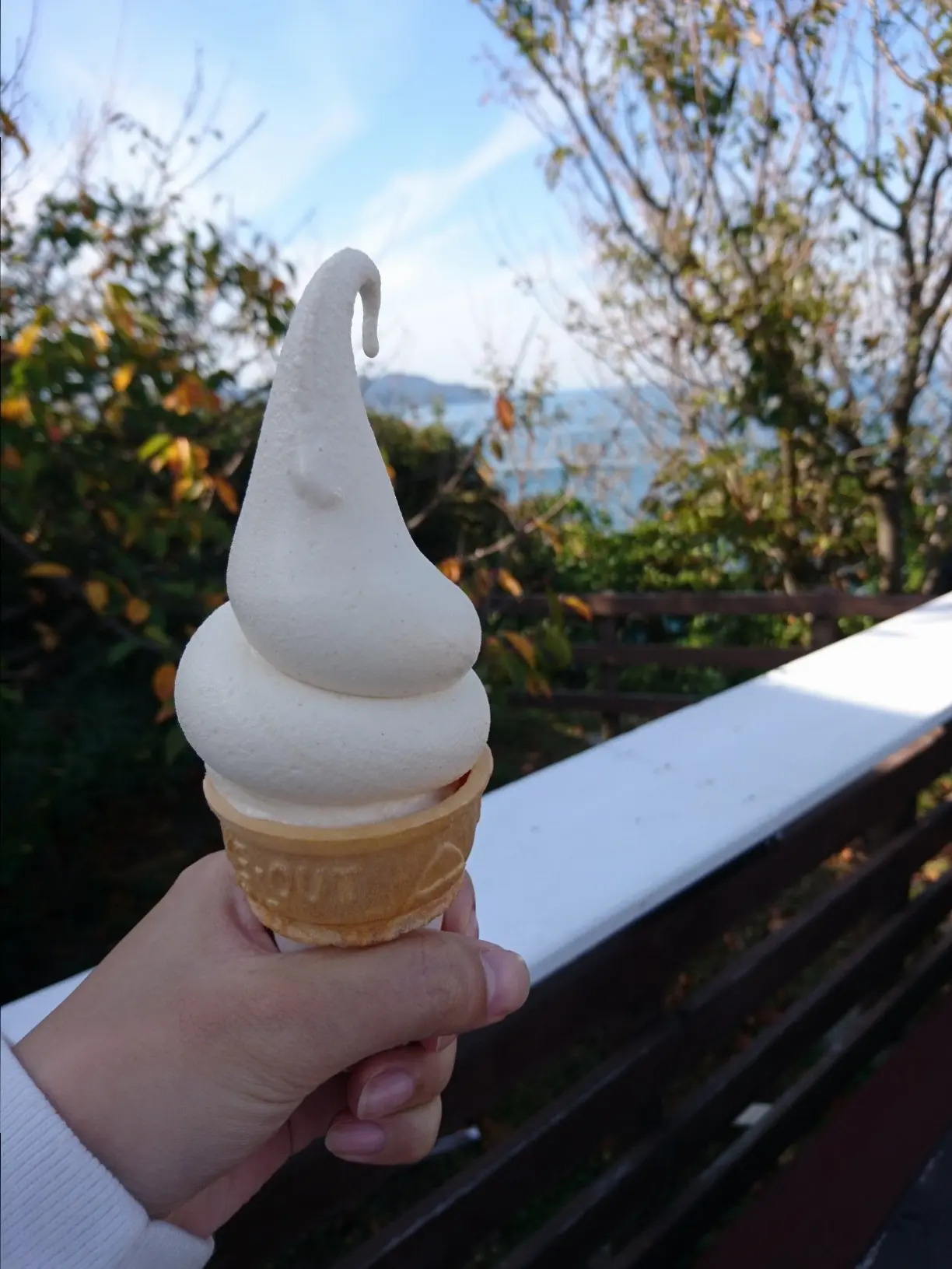 ≪兵庫県・淡路島≫玉ねぎが主役!全国1位・あわじ島バーガーが美味♡_3