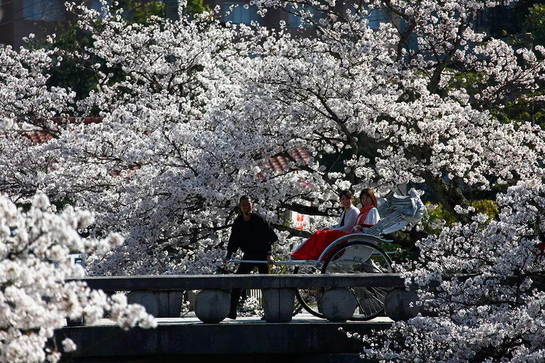 お花見と温泉。幸せすぎる週末旅はいかが?_1