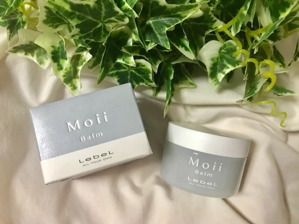ウェットなトレンド髪が叶う!【Moii(モイ)】のヘアバームが優秀って知ってる?_1