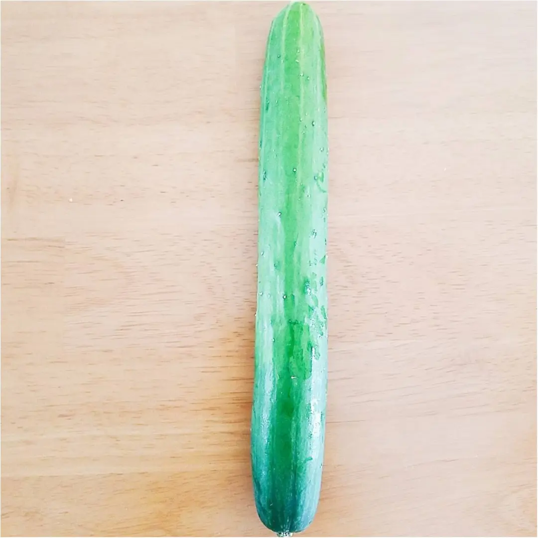 野菜情報!ダイエットに効果的な野菜って?&野菜の見分け方 【#モアチャレ 農業女子】_4