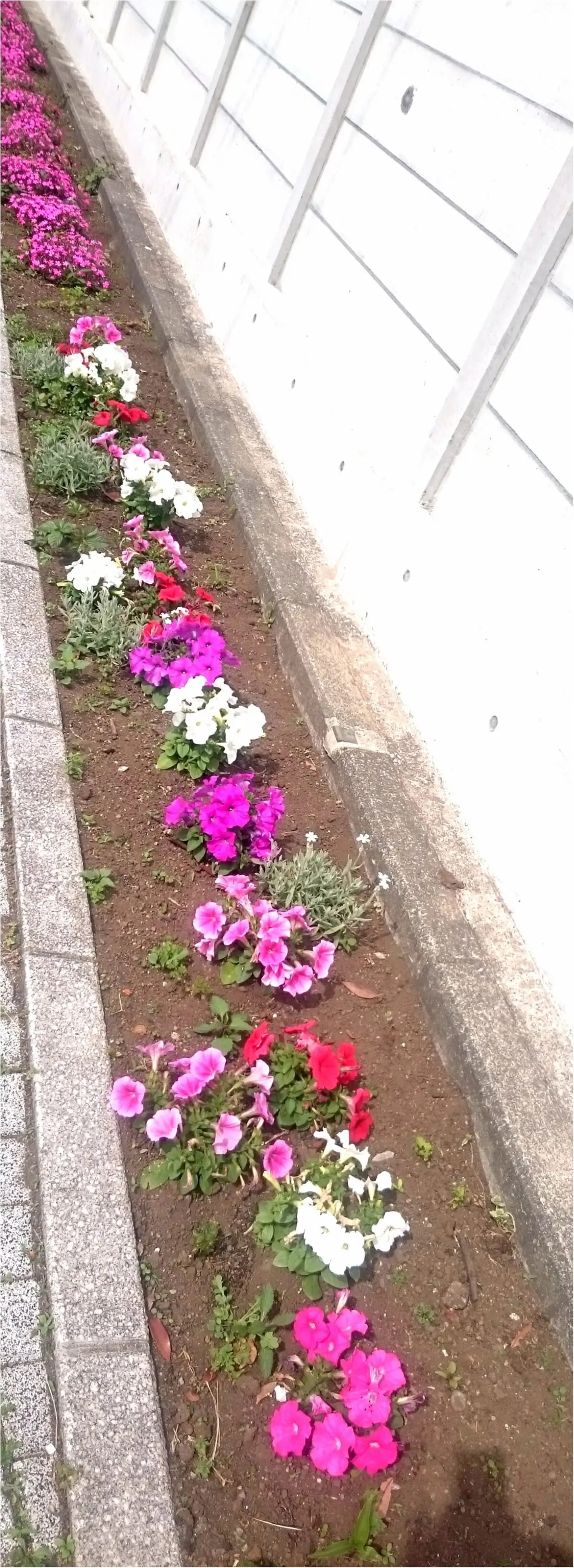 自分へのご褒美はうなぎで決まり!都心から1時間で行けます☆_19
