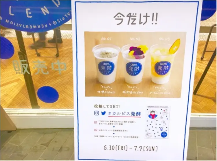 【今しか飲めない ‼︎ @ CAFE】フォトジェニックな《カルピス×発酵》ドリンクが大人気なんです❤️_3