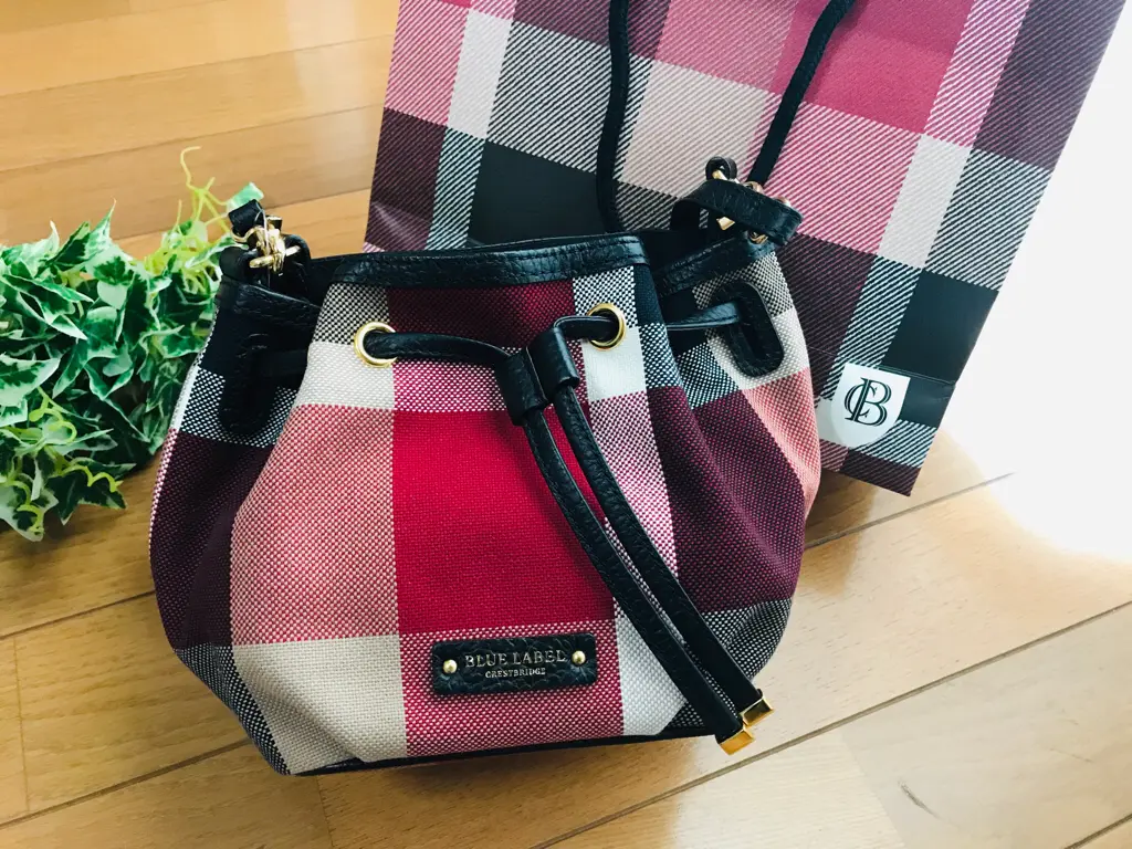 コーデのアクセントに効果絶大!【MORE×BLUE LABEL】コラボバッグが万能♡_2