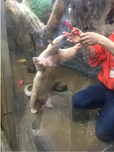 【週末栃木( ^ ^ )/□ 猫好きにオススメです◎】_1