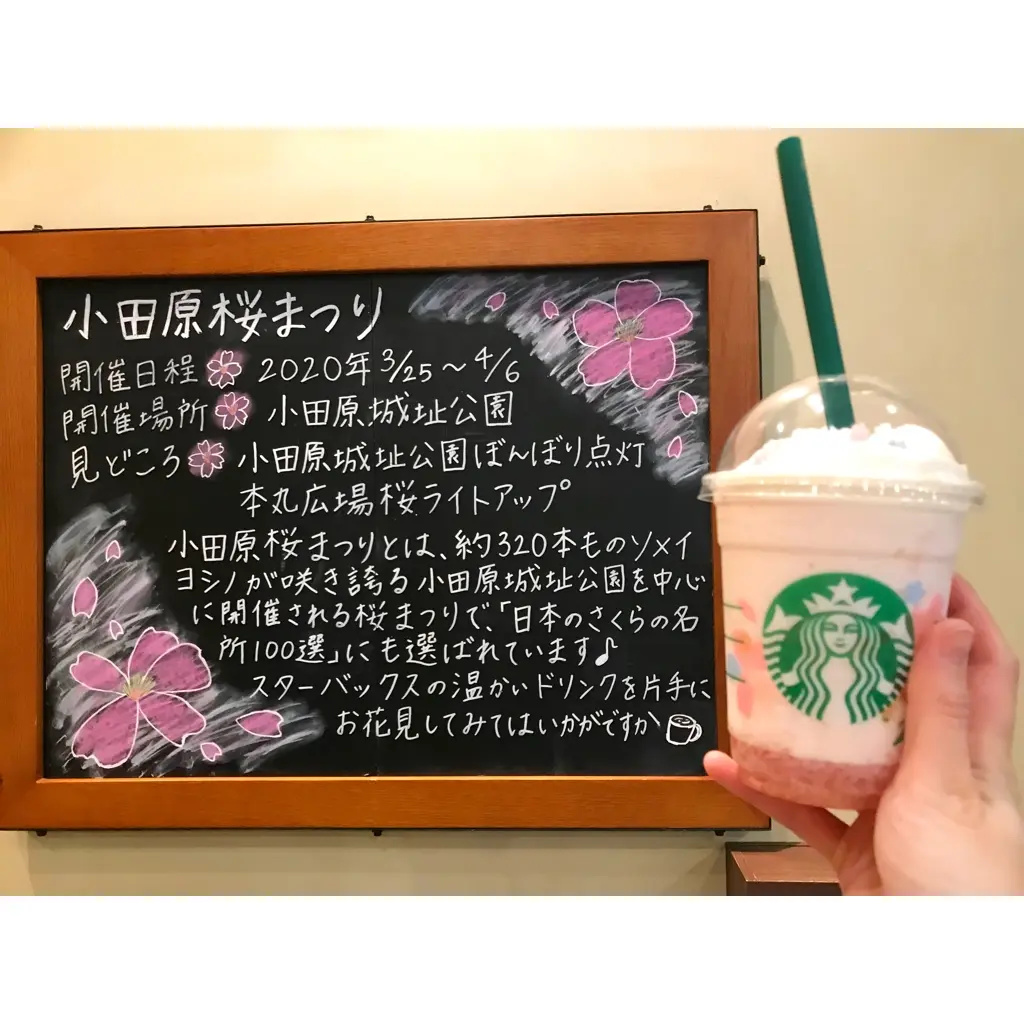 【スタバ新作〜桜編〜】春のお出かけ!"小田原店"お勧めの小田原桜祭の情報もピックアップしました!_4