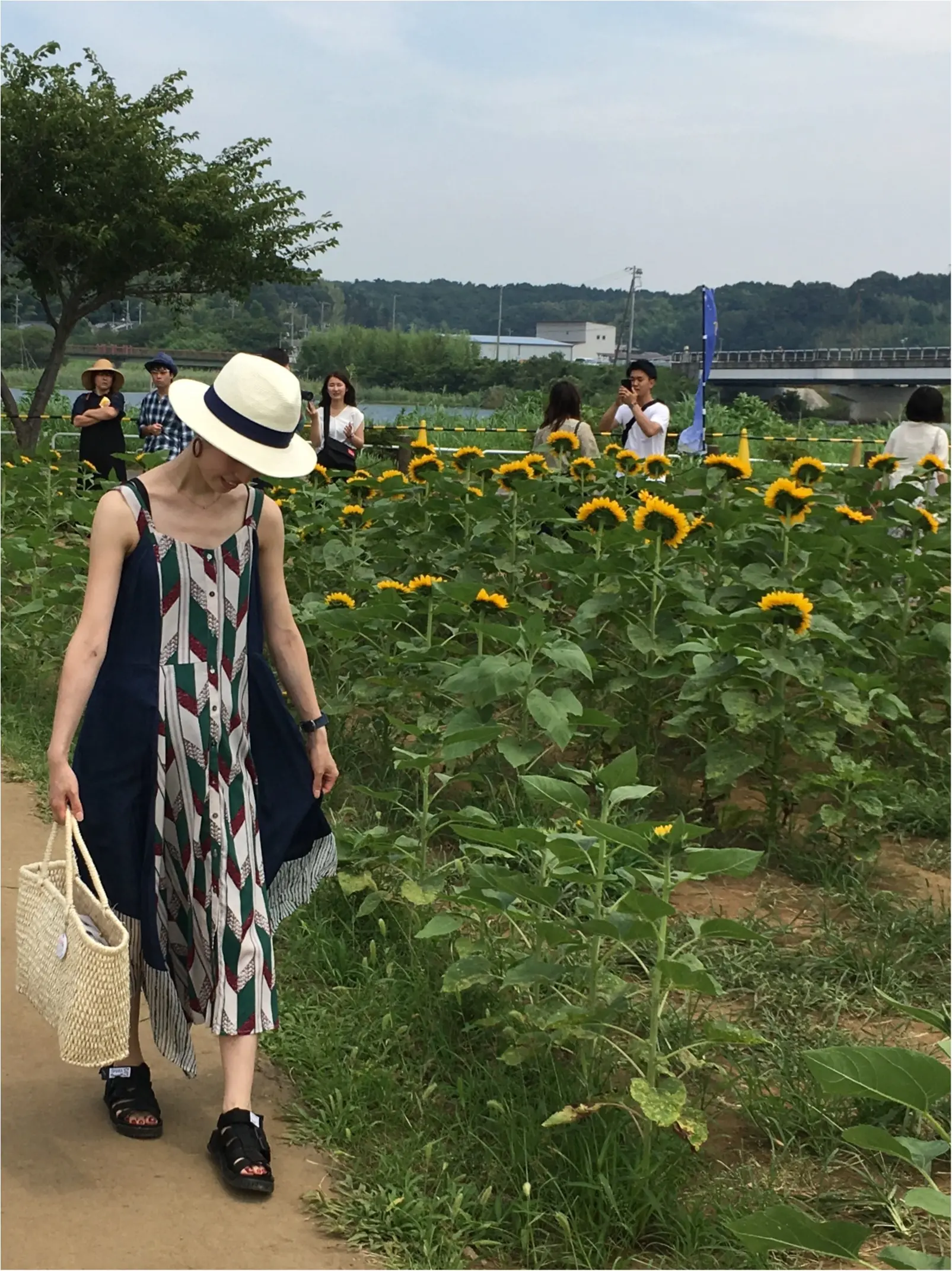 今年も【ひまわりガーデン】へ行ってきました!_1