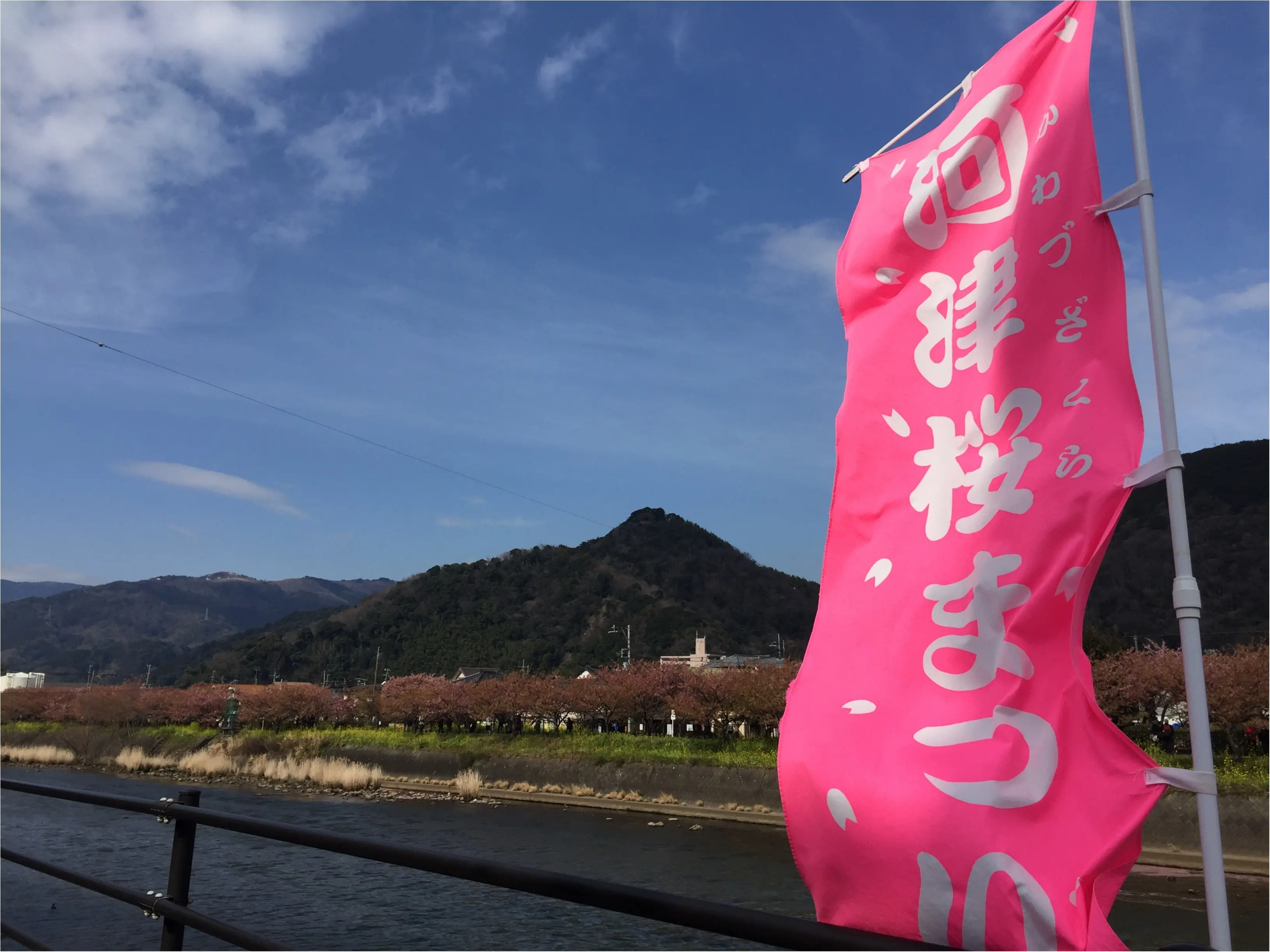春の訪れを感じに…『河津桜まつり』へ行ってきました♡*_1
