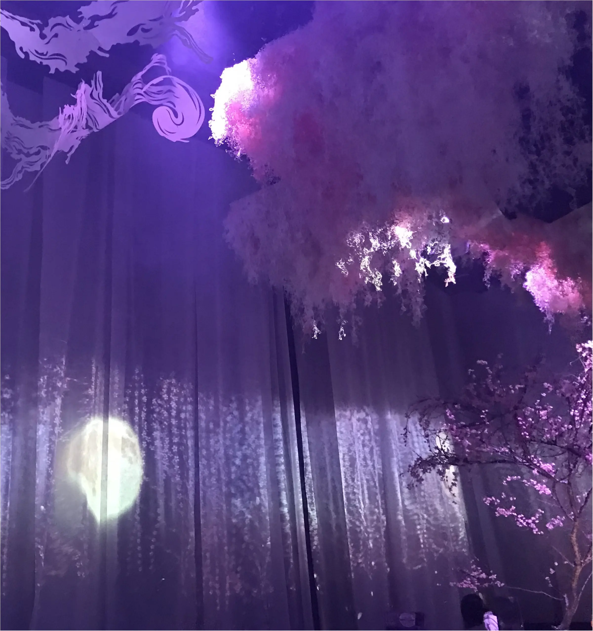 【Flower by NAKED】生花と映像のコラボ♡ フォトジェニックな秋に咲く桜を見てきました♡_5