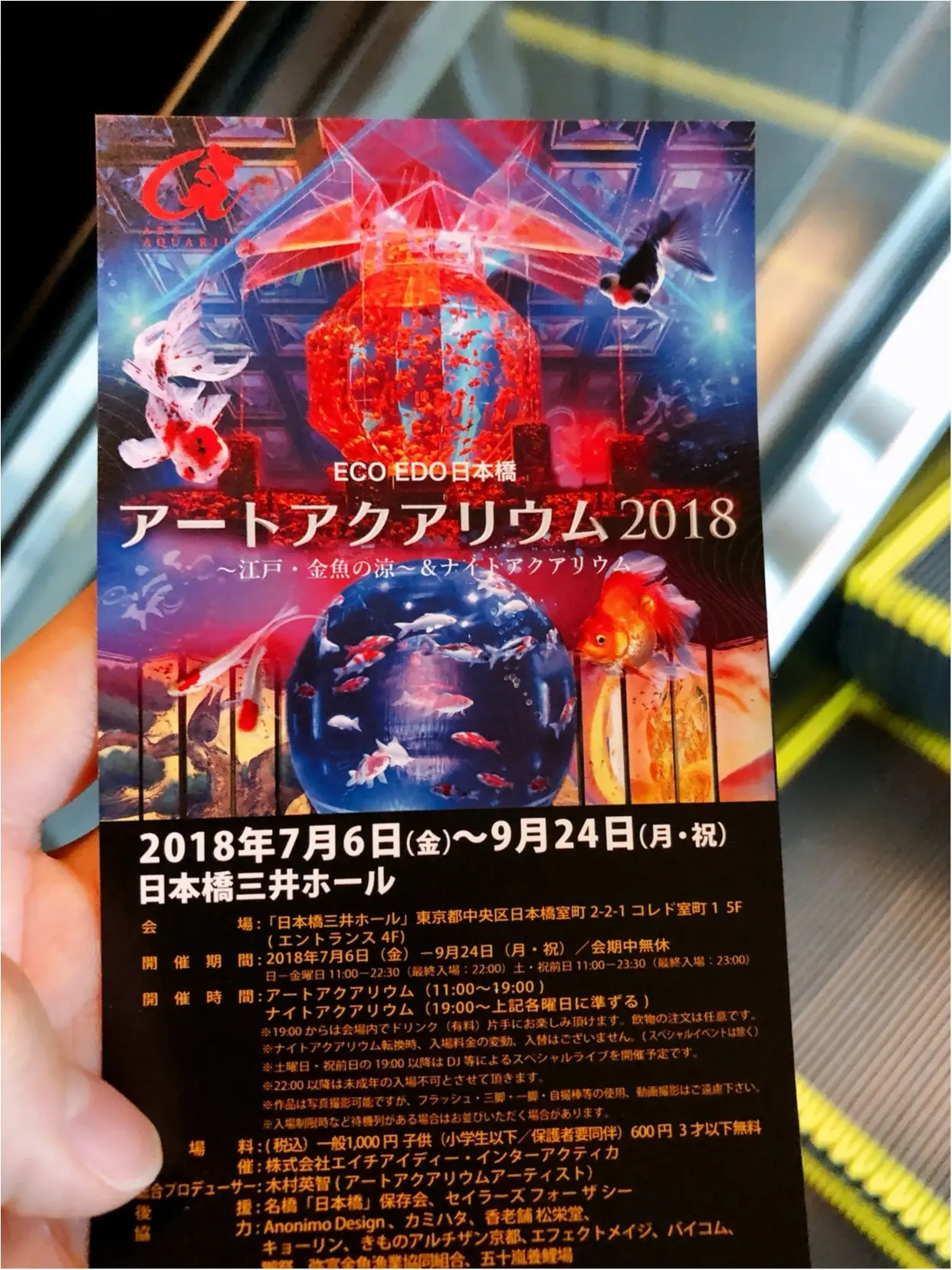 アートアクアリウム2018で金魚の癒し♡_1