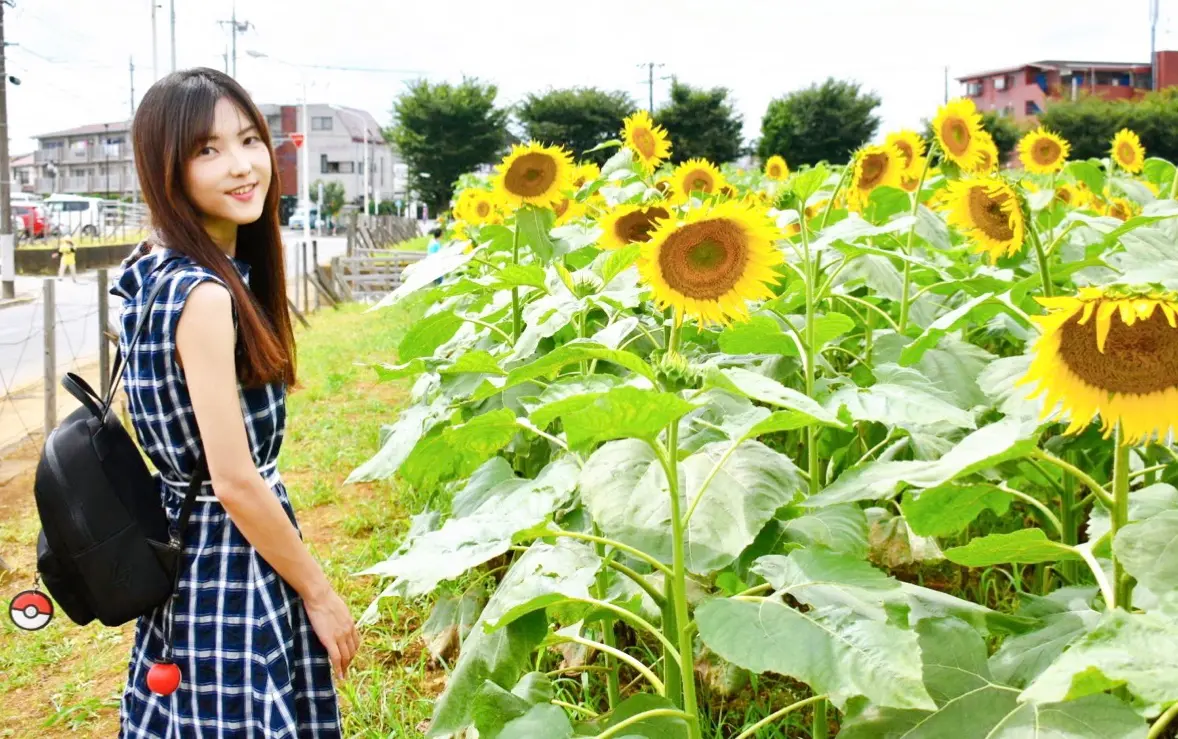 【50万本のひまわり畑】梅雨明け!開けた場所で夏を感じよう_1