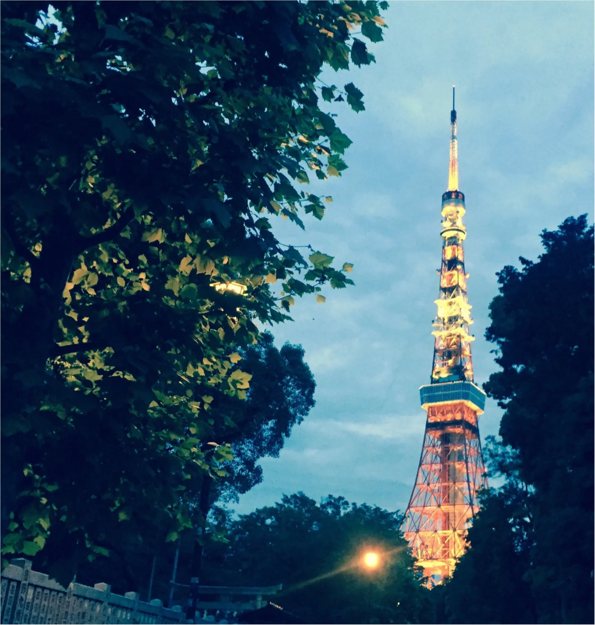 皆様、今期もお世話になりました♡_2