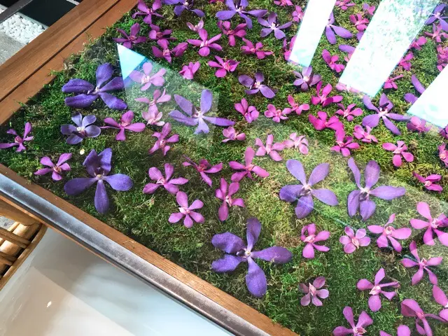 【NomuKobe】お花のテーブルで素敵なカフェを♡♡_4