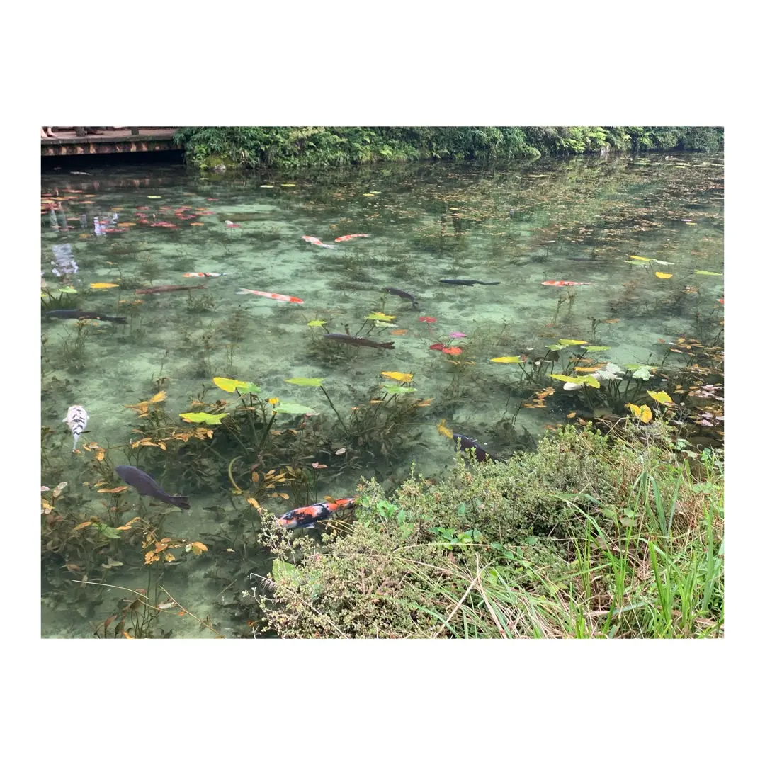 【岐阜】に行くならここ行くべき☝️オススメスポット教えます☺︎_10