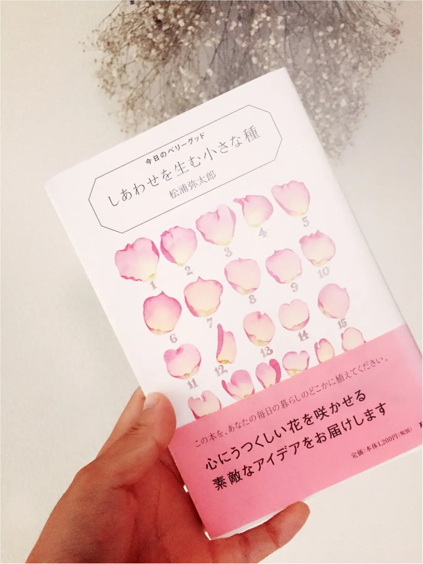 …ஐ アーユルヴェーダやホ・オノポノポノで生活にみずみずしさを‧⁺✧︎* ஐ¨_5