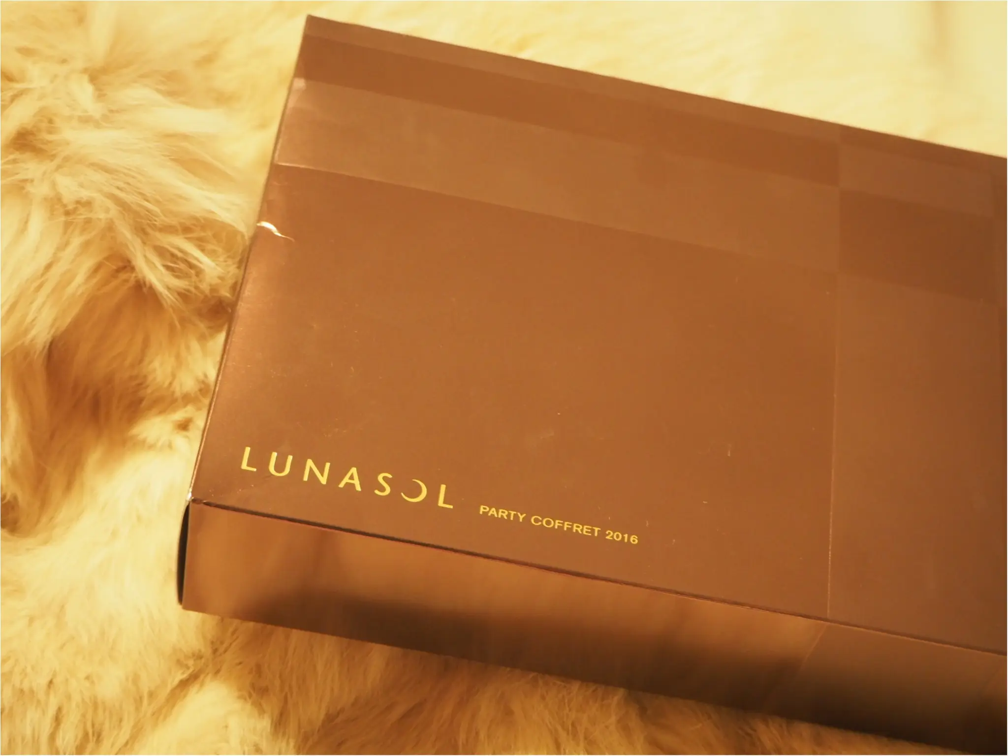 ★クリスマスコフレ「LUNASOL(ルナソル)」がお気に入りすぎてもう手放せない!_1