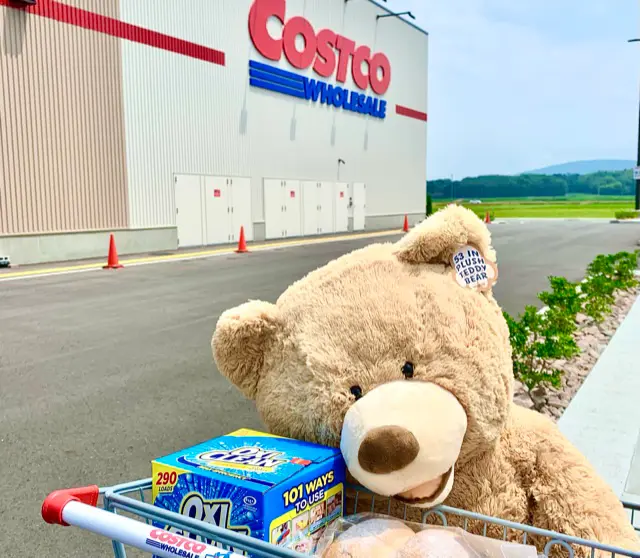 【コストコ購入品】夫婦2人暮らしの最近買ったコストコ商品を紹介♡_1