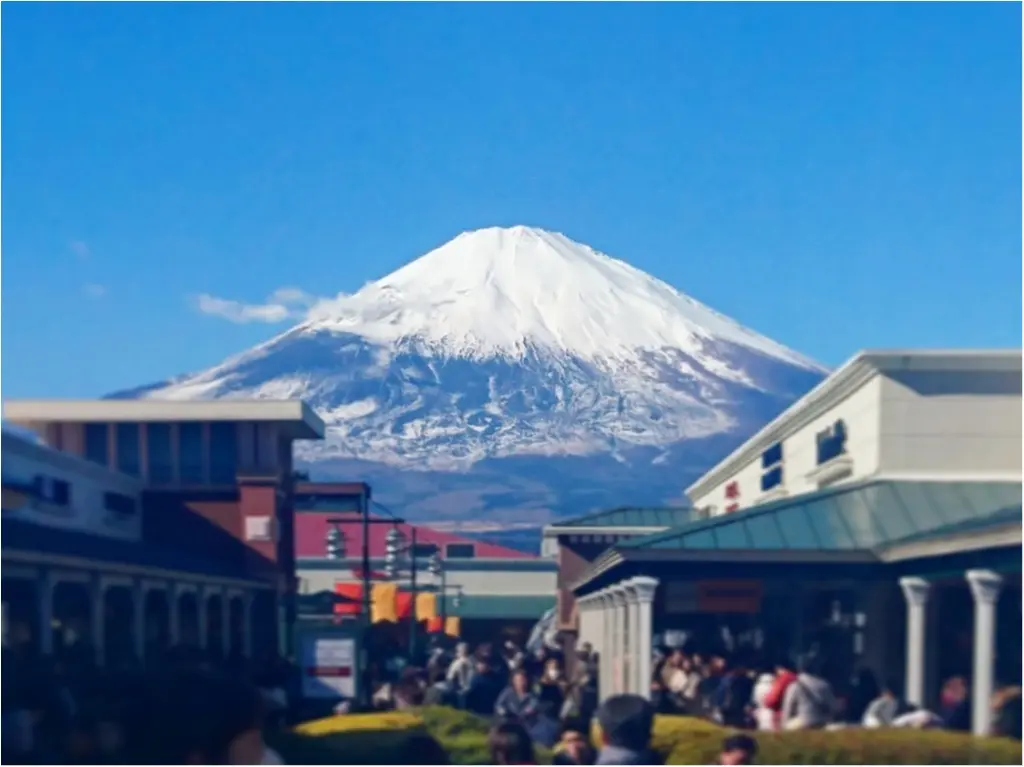 【NEW】2017年、どんな一年になるのかな ? 本年もよろしくお願いいたします ♪ _1