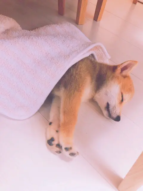 【夏ネイル】新調しました*_2