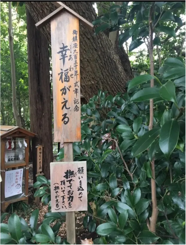 幸福撫でがえる石をなでてシアワセをGET!?_6