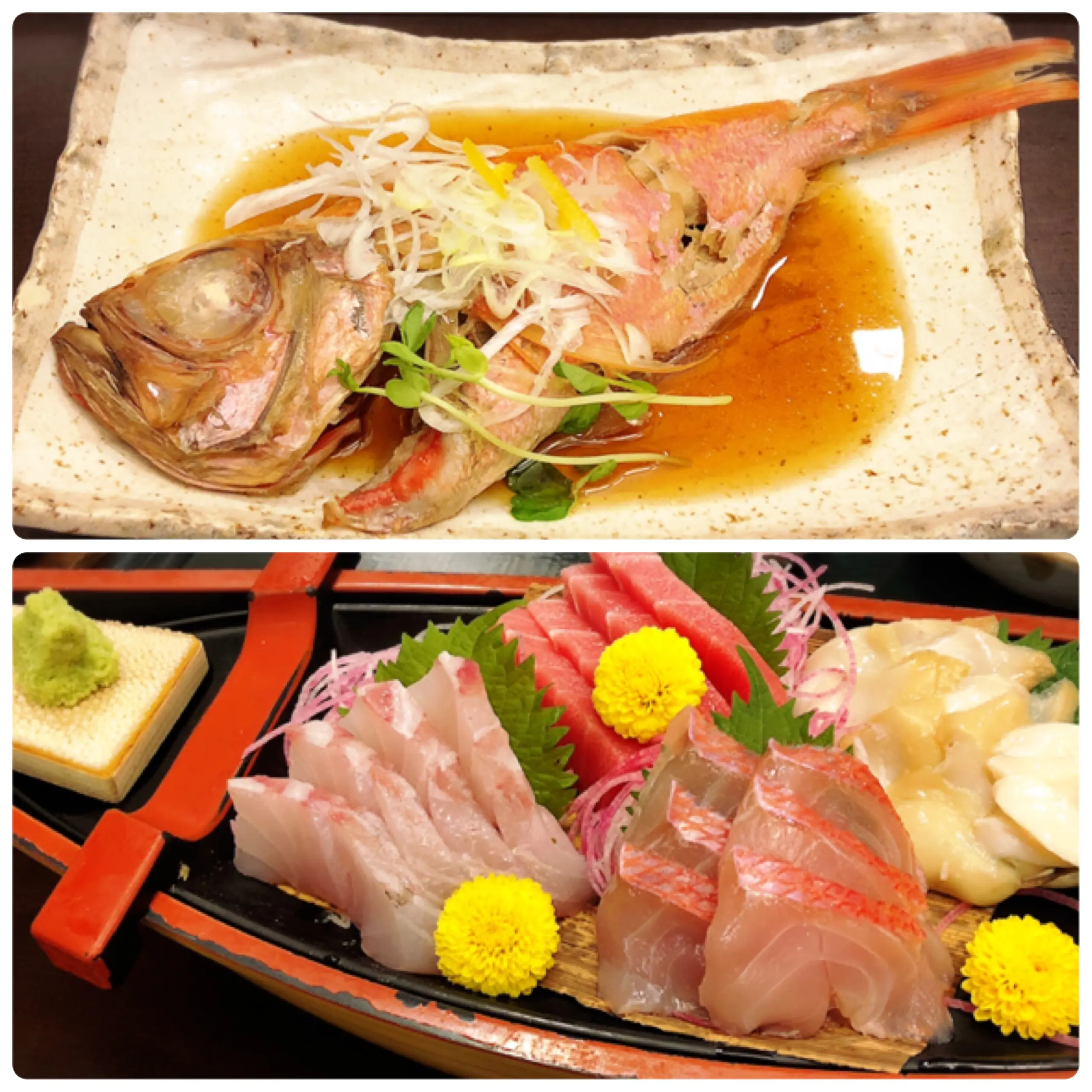 【伊豆】秋の旅にオススメ!お手頃価格なのに露天風呂付客室×豪華なお食事˚✧₊伊豆高原温泉ホテル 森の泉_6