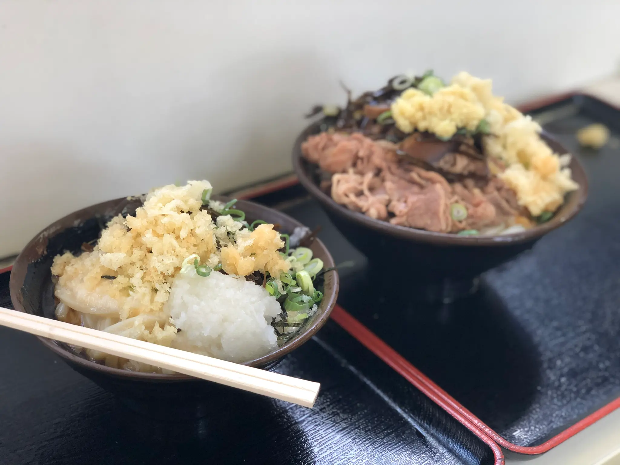 香川 うどん 旅行_1