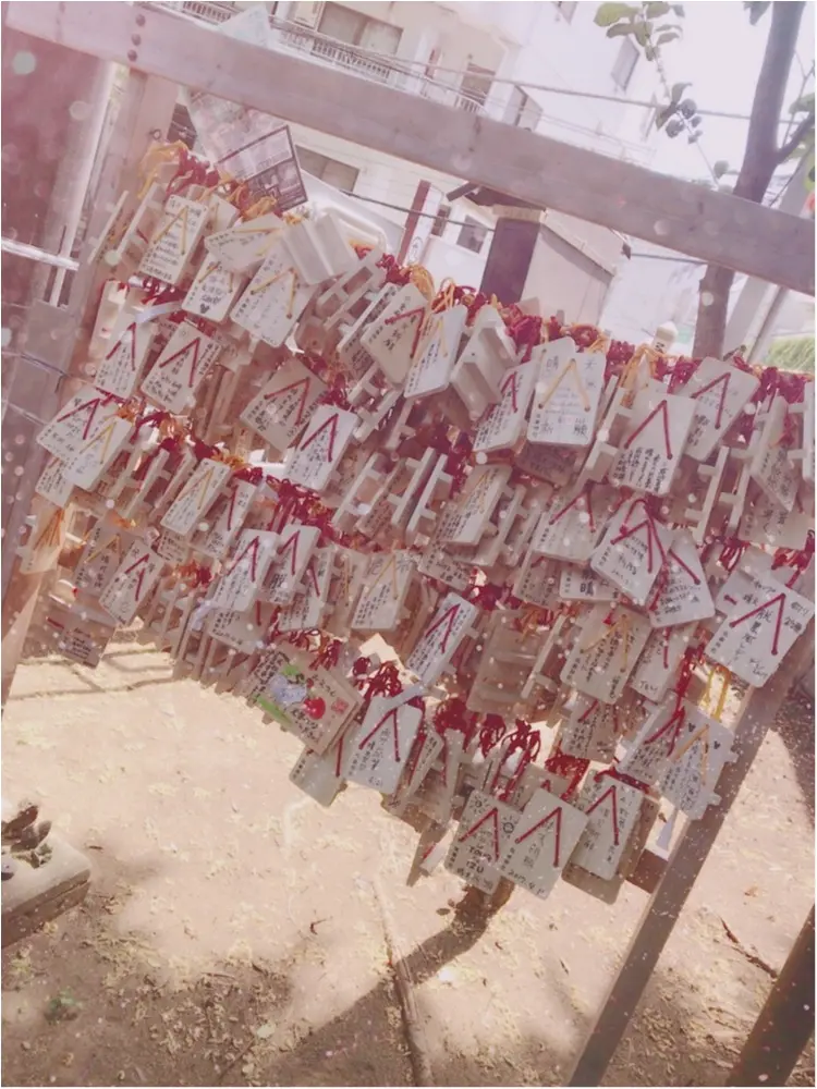 【プレ花嫁】全国で唯一♡お天気の神様がいる「氷川神社」で晴天祈願!@高円寺_3