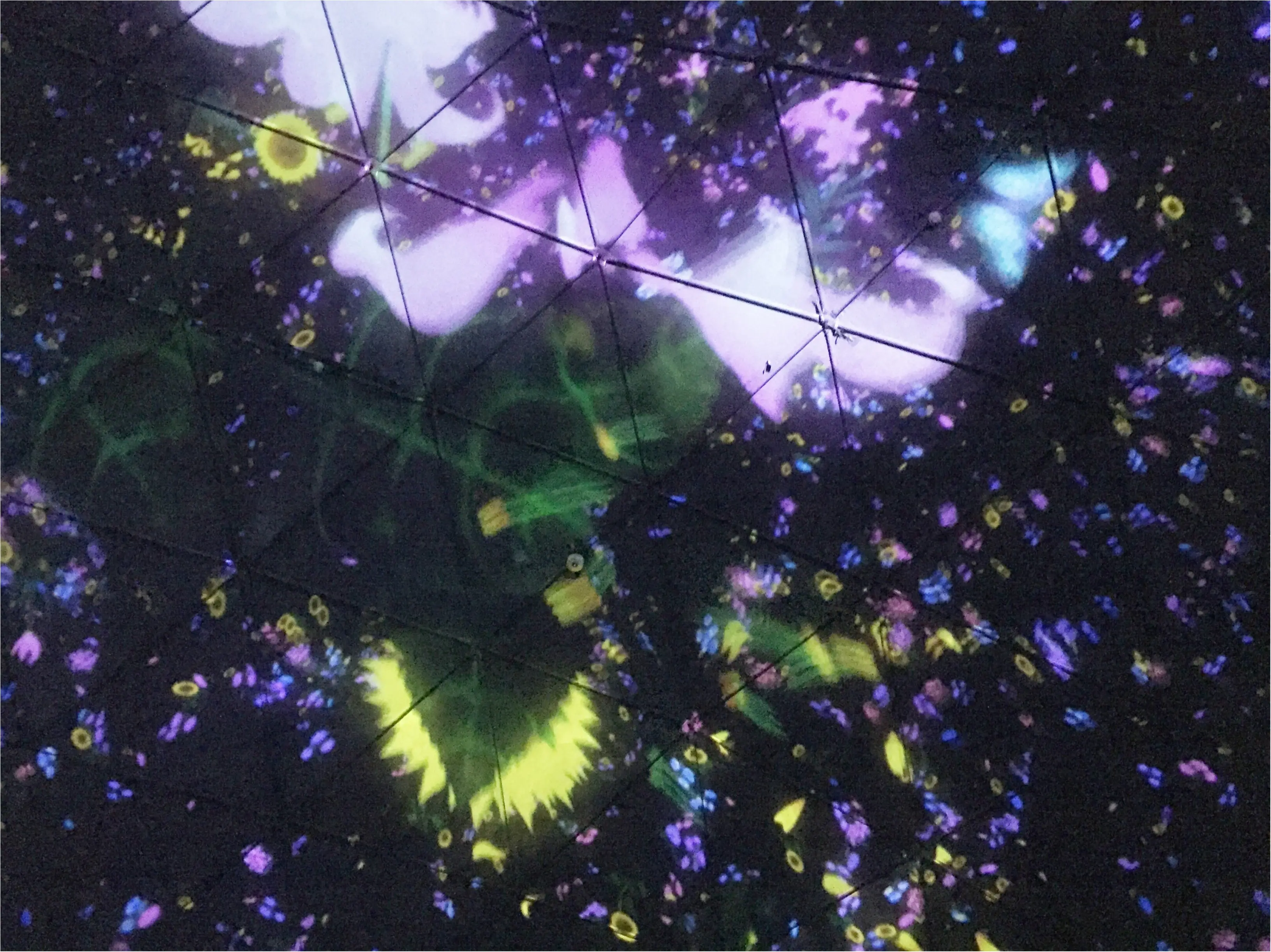 【夏のお出掛けスポット/DMM.プラネッツ Art by teamLab】水に浸かったり仰向けになったりして鑑賞する『デジタルアート』が幻想的✨8/31まで!お台場に急げ♩≪samenyan≫_18