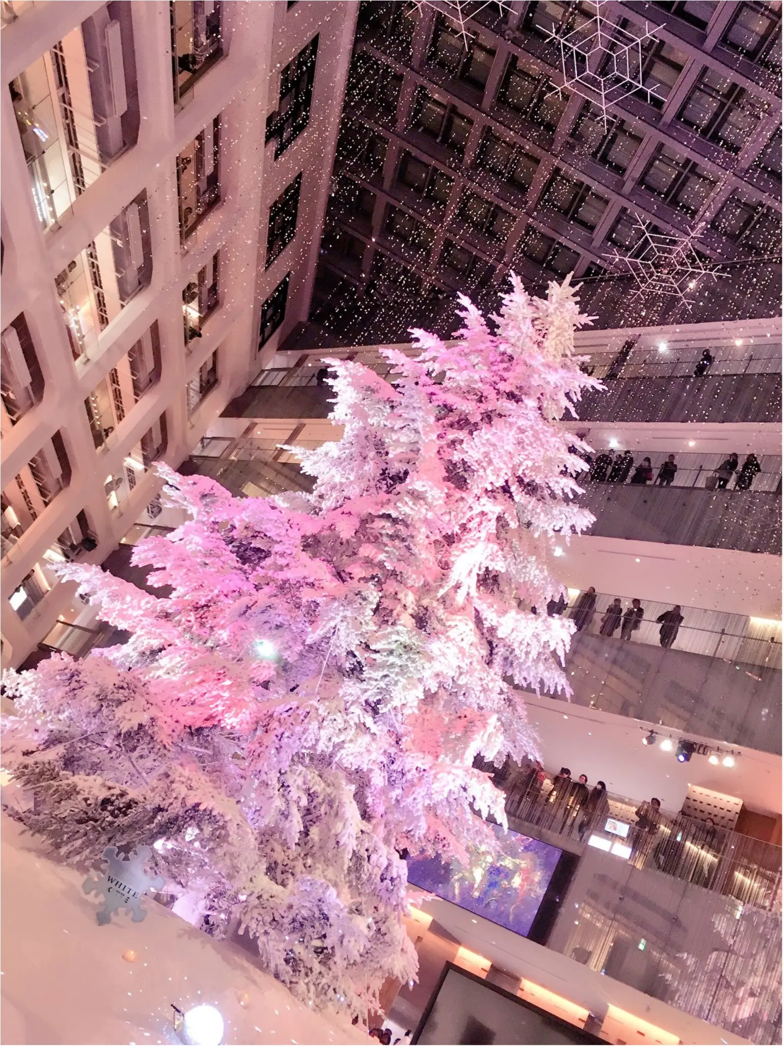 『KITTE』屋内に広がる白銀の世界…!日本最大級、本物のモミの木のクリスマスツリーが今年も点灯(*´ ˘ `*)♡_4