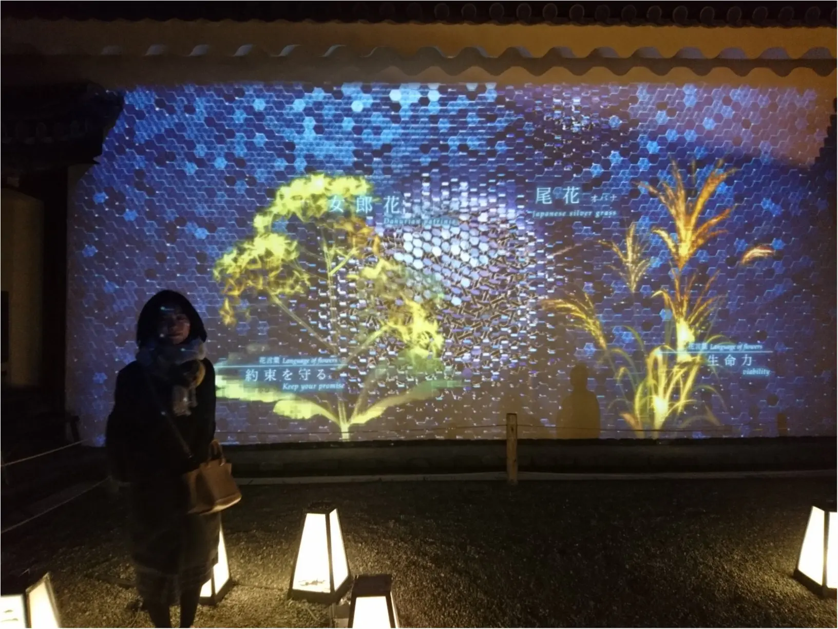 ≪京都・二条城≫先進アートとコラボ! 花がモチーフflowers by nakedライトアップ☆_3