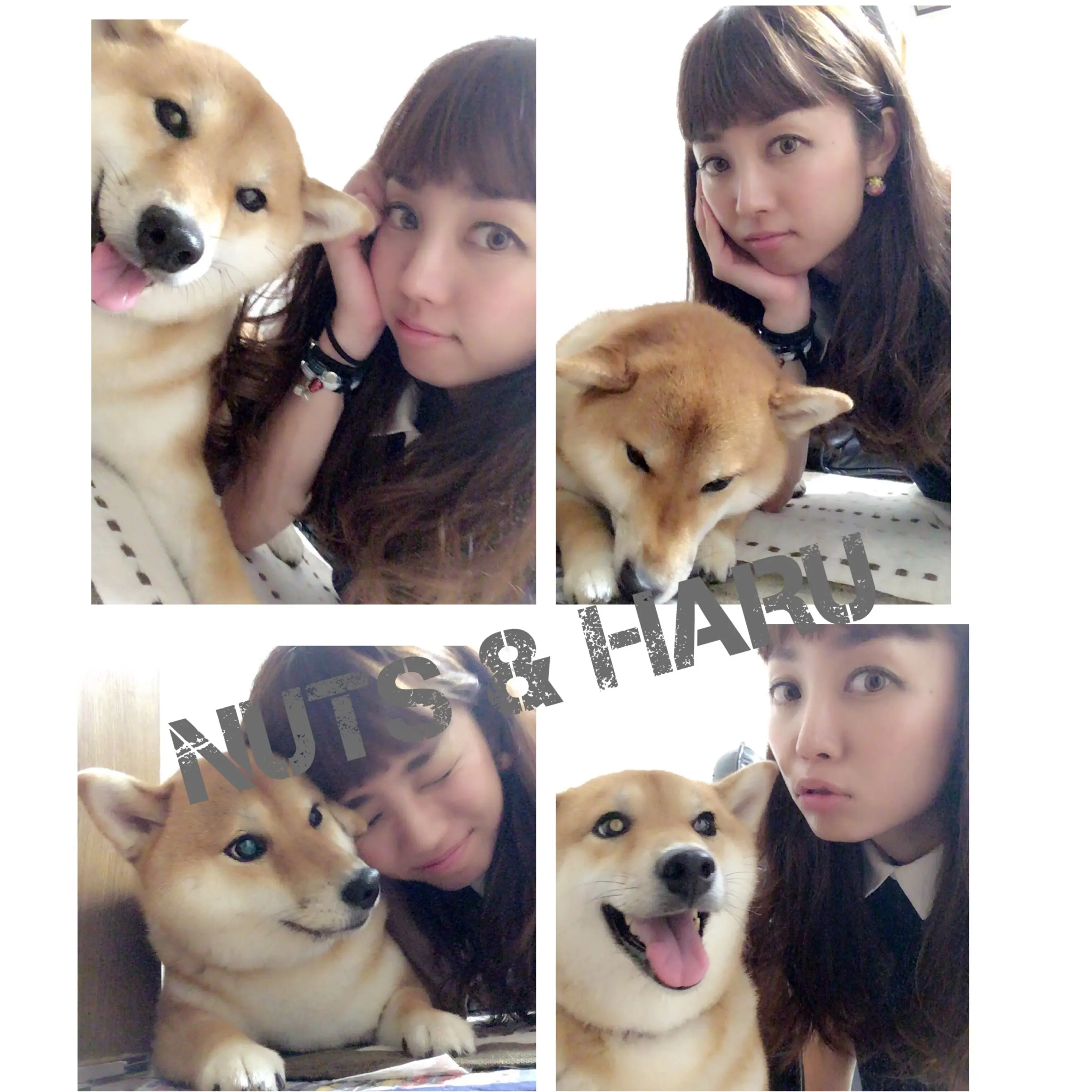 ▶︎▶︎着回しに便利な〈プリーツスカート〉で休日コーデと柴犬ナッツ【はるな】_6