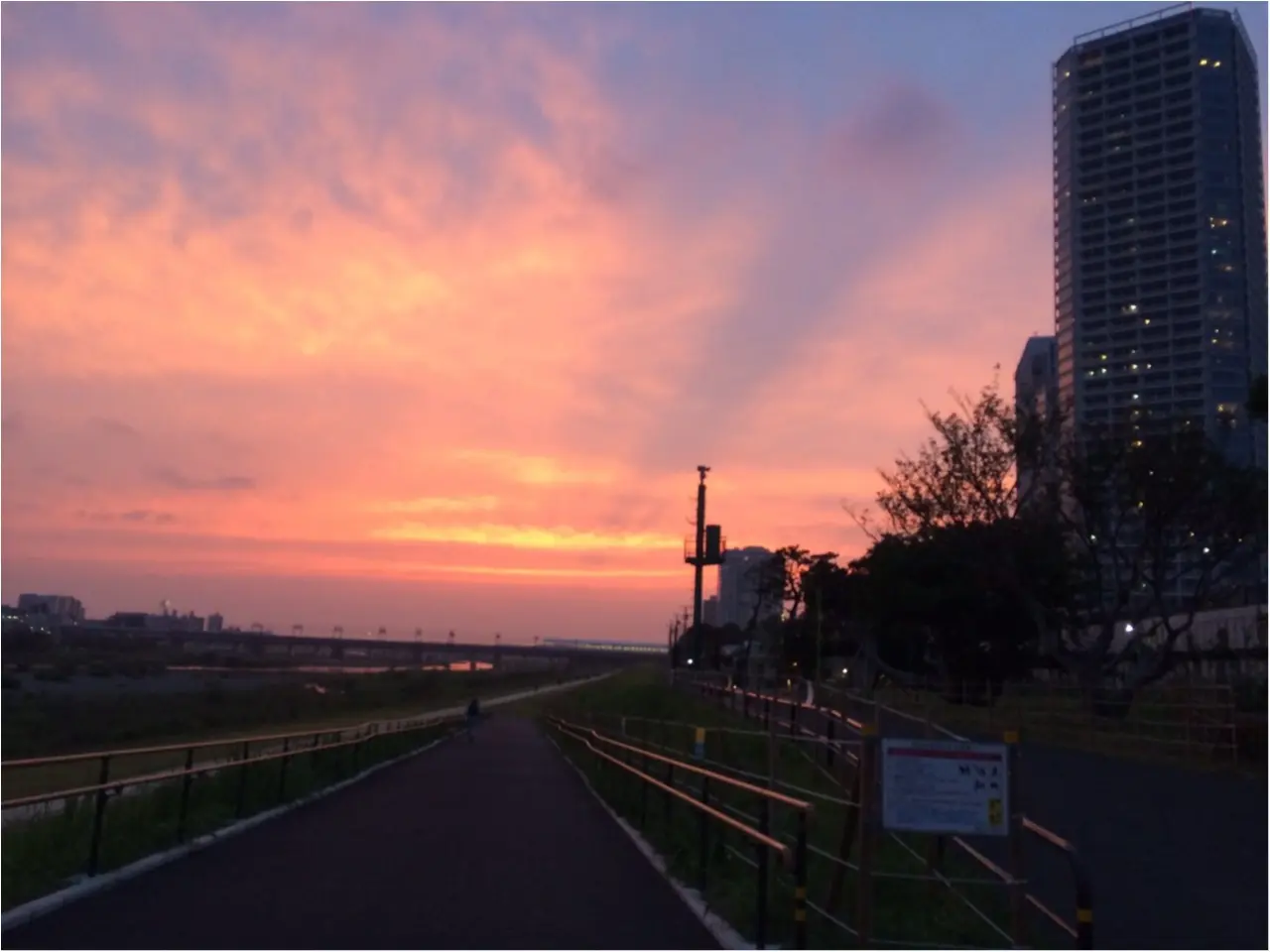 1人住いの夕飯…【葉っぱ山盛りで満腹】_2