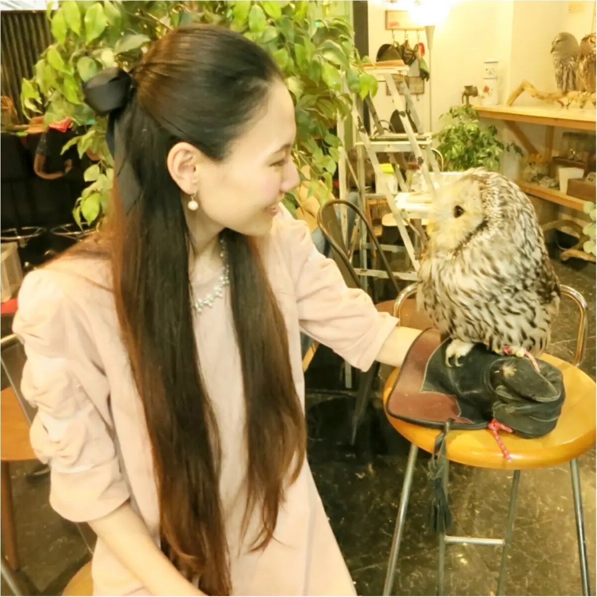 フクロウと触れ合える♡ 癒しのフクロウカフェが大人気!_7