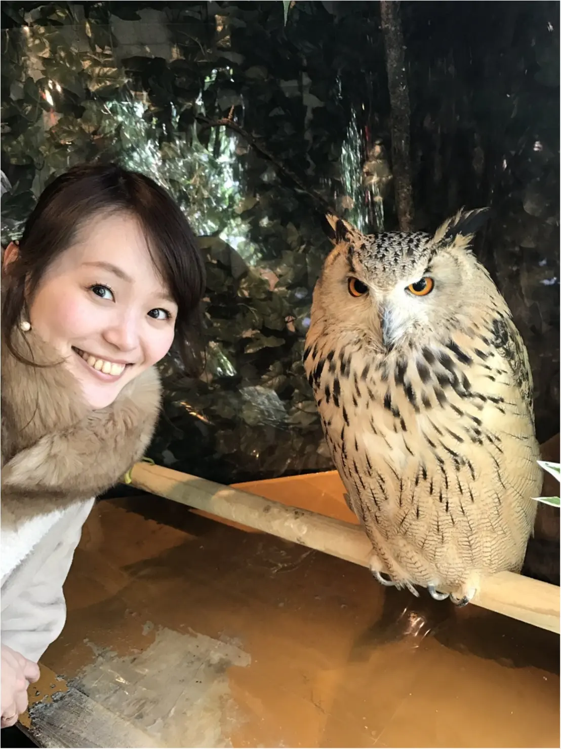 酉年!と言うことで、鳥ちゃんに会いに言ってきましたー(゚ω゚)♡_1