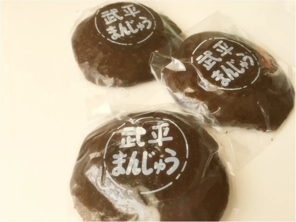 美しき自然と絶品かき氷に癒されよう!【日光・鬼怒川】日帰り旅行のすすめ♡*_6