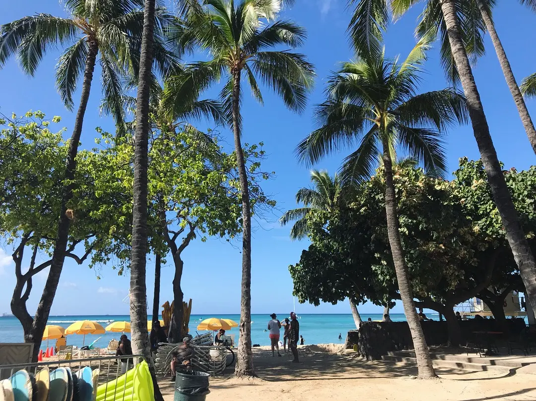 【#Hawaii】#2 写真で旅行気分を(๑>◡<๑) アクセス◎クーポンで15%オフが嬉しい美味しくてフォトジェニックなCAFE☕︎_7