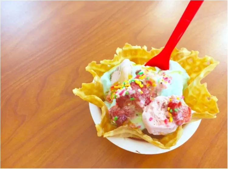 チョコミントならぬ《〇〇ミント》?!暑〜い日にお出かけしてでも食べたい【絶品アイス】❤️_2