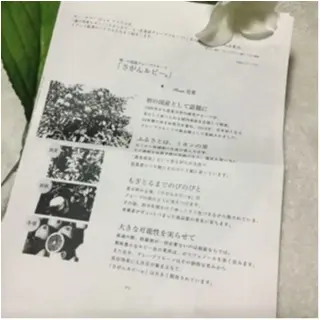 【早い者勝ち!】6月18日発売された“IGNIS”の新商品を試してみませんか❤️?「瀬戸田産レモン」を使用したさっぱりした香りに癒される人続出中!_6