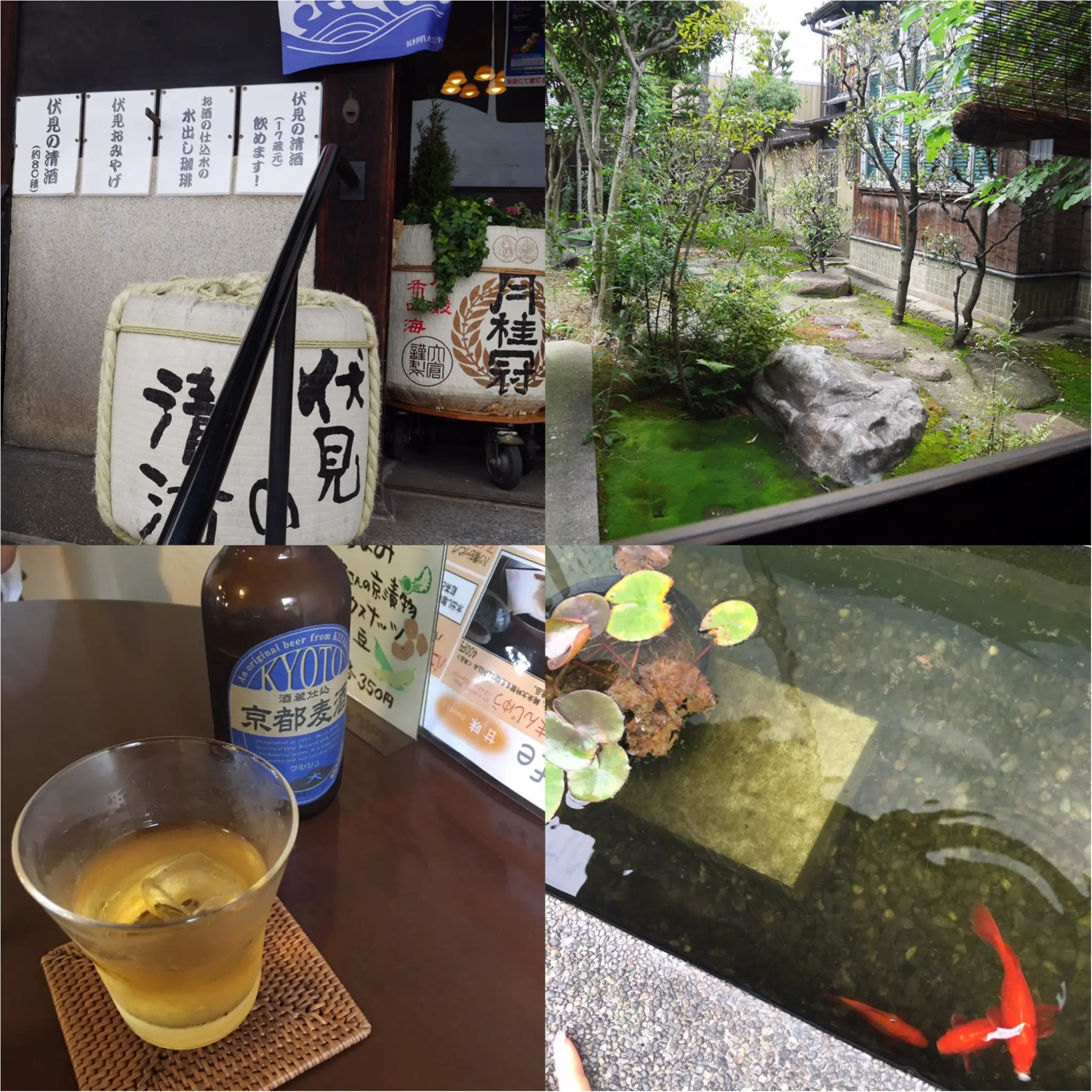 京都伏見 日本酒酒蔵めぐり _9