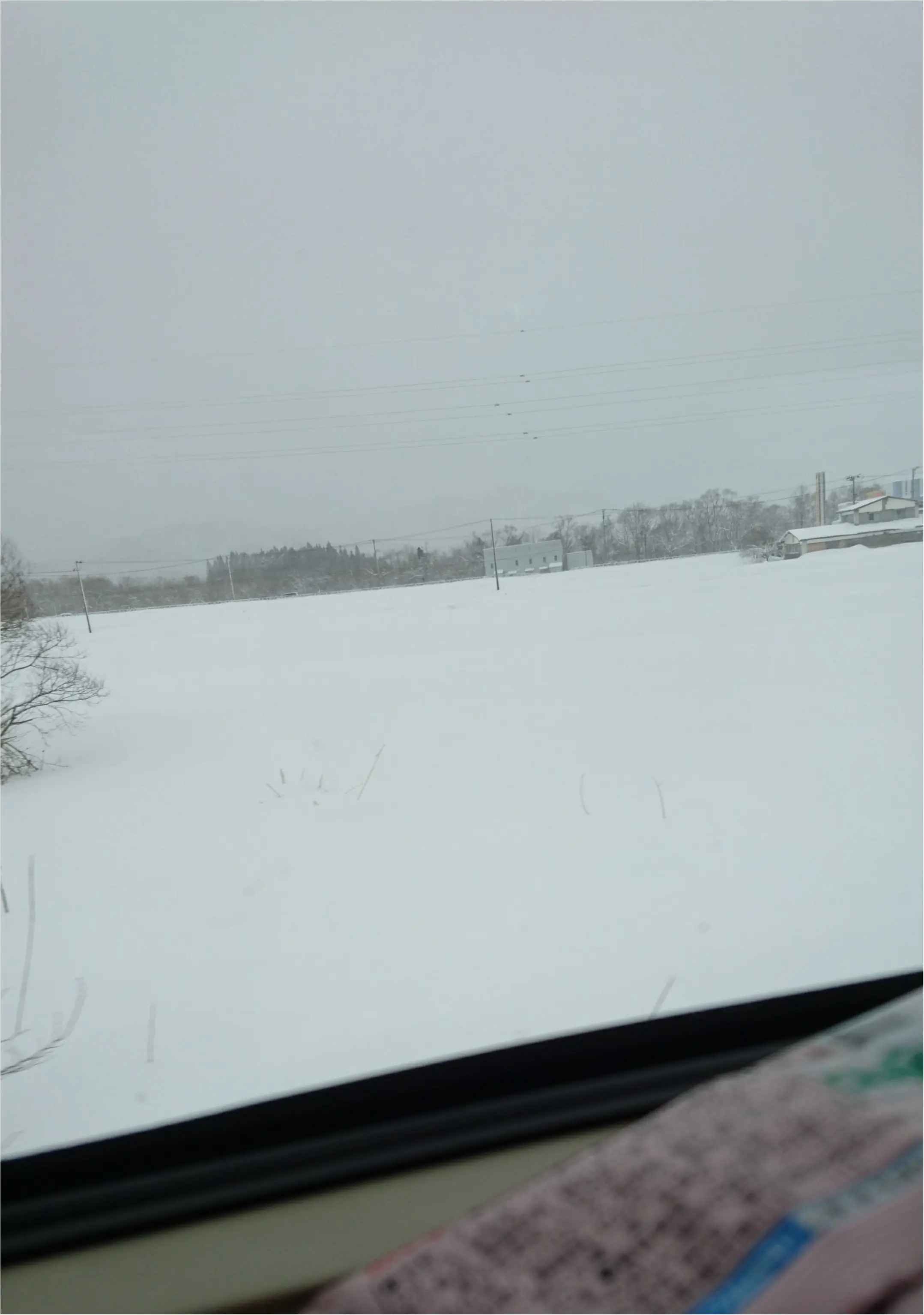 秋田は寒くてもバスケの試合会場はとても熱いんです⊂((・x・))⊃!_1