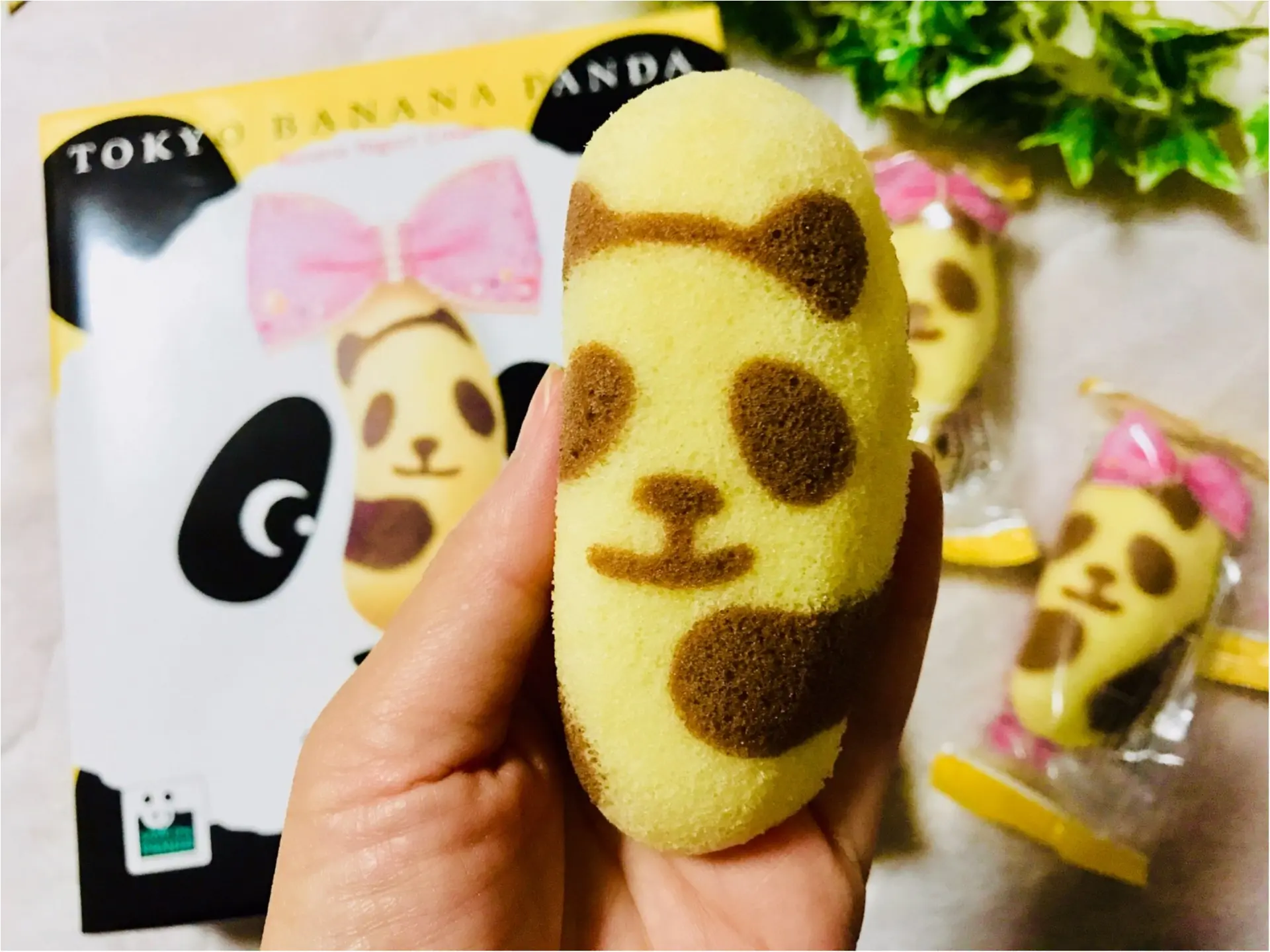 【帰省みやげ】ついにGWスタート!東京土産のド定番《東京ばな奈》❤︎まさかのシャンシャンとコラボ!?かわいいパンダに変身しちゃいました♡♡_4