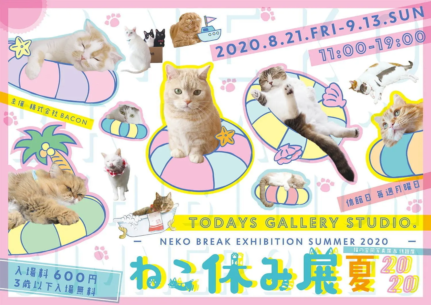 可愛い にゃんこ が一堂に 猫の合同写真展 物販展 ねこ休み展 夏 が 東京 浅草橋で開催中 ライフスタイル最新情報 Daily More