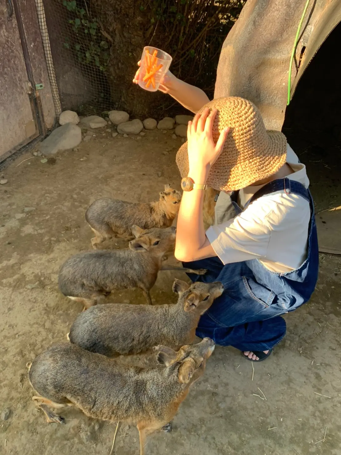 ヘビを首に巻く 距離が近すぎる動物園 北海道ノースサファリサッポロ Happy Plus One ハピプラワン