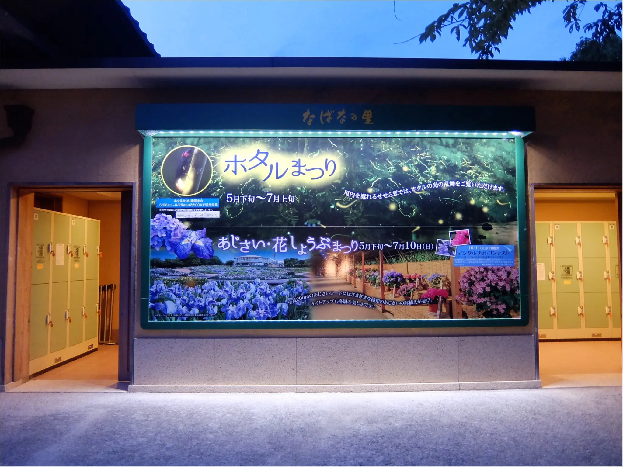 三重県ナガシマリゾート!夜はなばなの里でホタル観賞♡_8