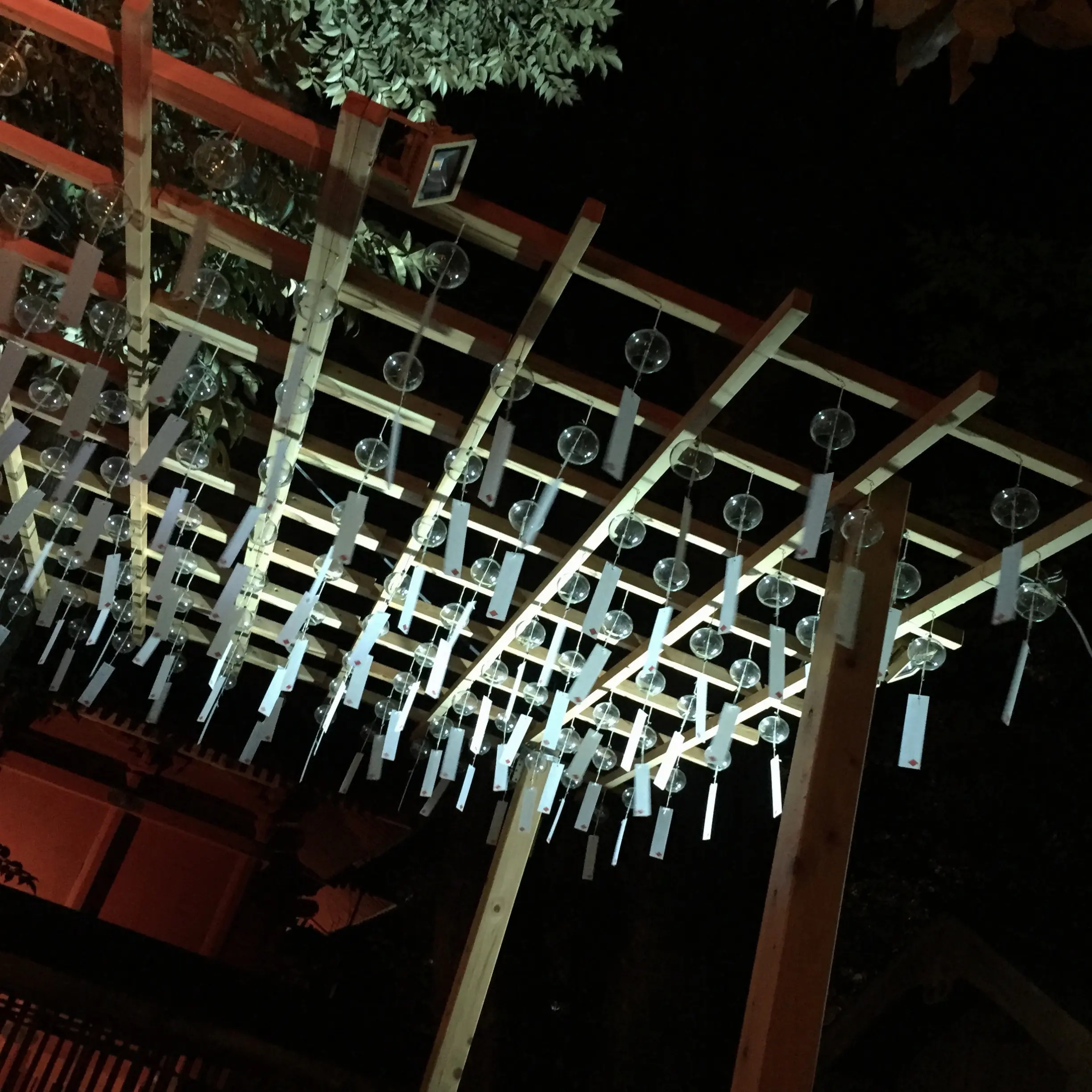 【8/31まで】写真だけでも幸せな気持ちになれる?フォトジェニックな夏の風物詩をお裾分け✨✨今話題の《*川越氷川神社*》に行ってきました♪♪_6