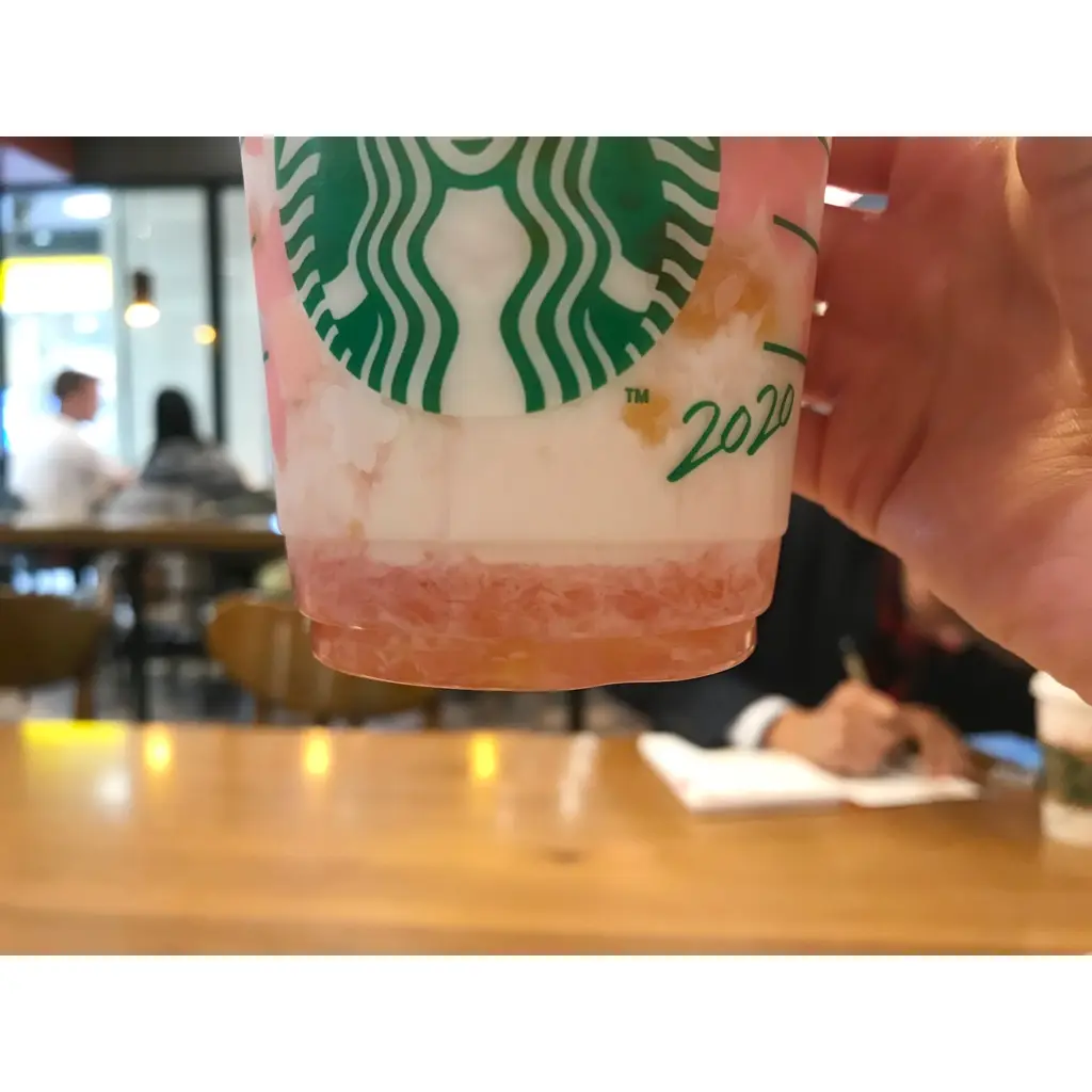 【スタバ新作〜桜編〜】春のお出かけ!"小田原店"お勧めの小田原桜祭の情報もピックアップしました!_2