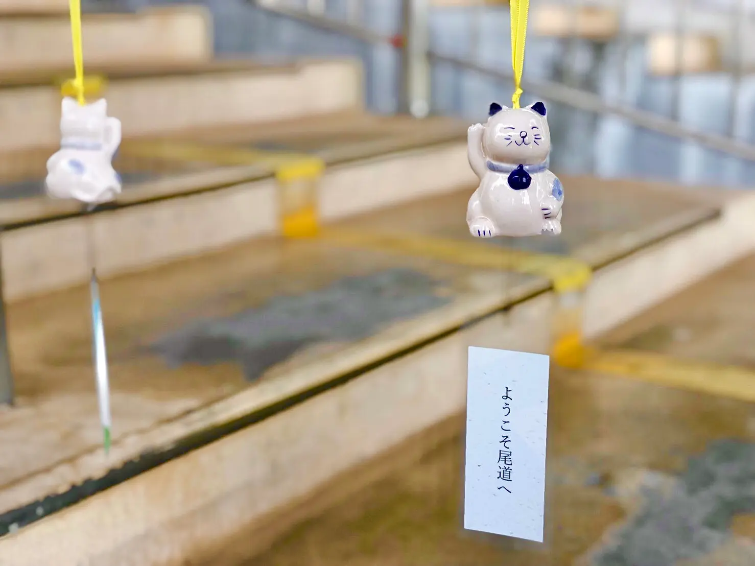 【女子旅でいくならここ】可愛すぎるネコとレモンの街、尾道 前編_4